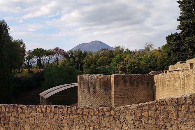 Pompeii: Tour with Archaeologist Guide & Skip-the-Line Entry - What $57 Gets You, and Why It Is Good Value