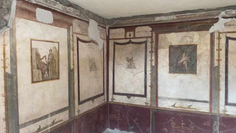 Pompeii - Vesuvius & Wine from Amalfi Coast all inclusive - Small group (max 12) and live English guidance: why it feels smoother