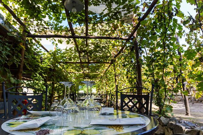 Pompeii Vineyard Escape: Private Wine Tasting & Lunch - Price and Value: Is $66.54 a Fair Deal?