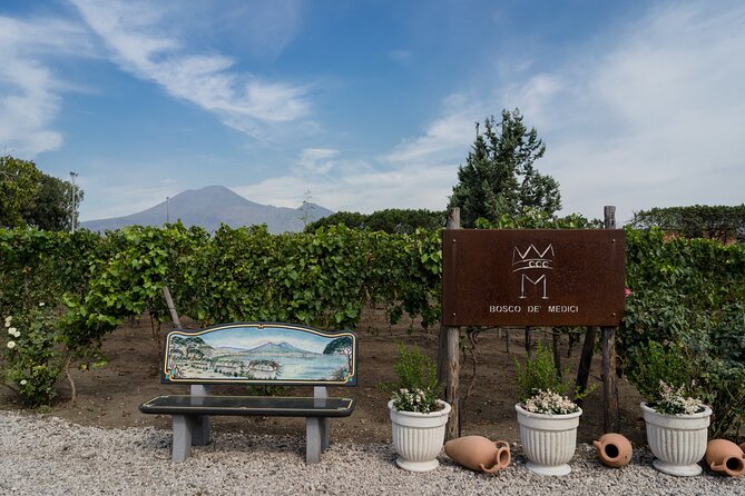 Pompeii Vineyard Escape: Private Wine Tasting & Lunch - The Wine Tasting: Three Bottles, One Clear Point