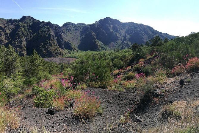 Private Day Tour to Vesuvius, Herculaneum & Pompeii with Pick Up - The Vesuvius hike: views are the reward, shoes are the rule
