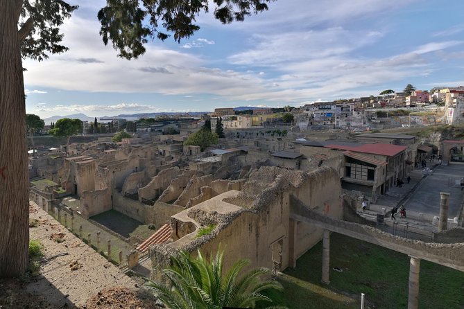 Private Day Tour to Vesuvius, Herculaneum & Pompeii with Pick Up - Pompeii highlights: more than a quick photo stop