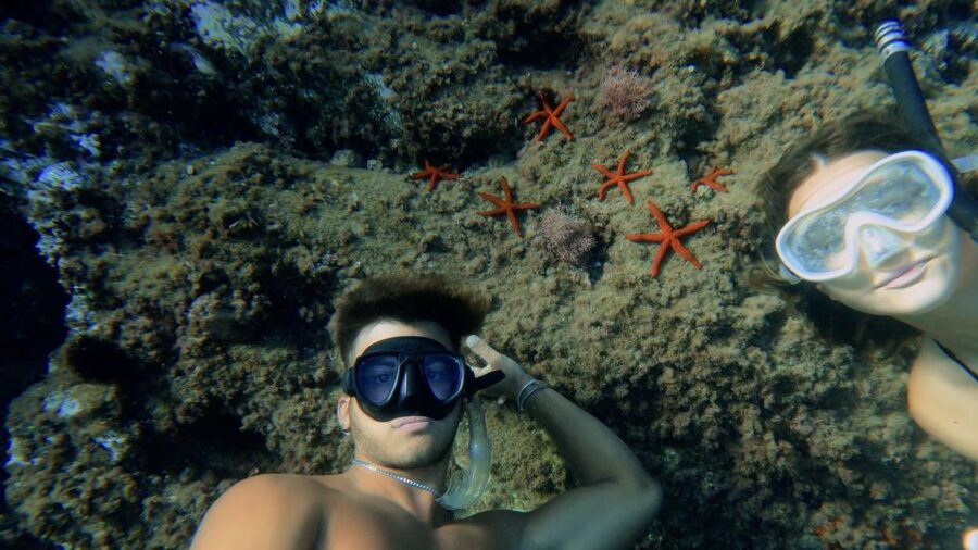 Procida: Boat Tour with Swimming Stops and Underwater Photos - Underwater Photos and Videos, Fish ID Chart, and the Media Reality