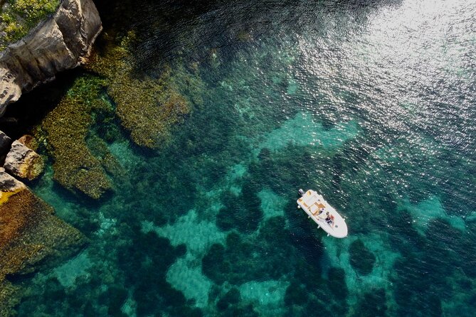 Procida Island Tour by Boat 2h 15m with Swimming and Underwater Photos - Stop 3: Riserva Naturale Statale Isola di Vivara by Boat
