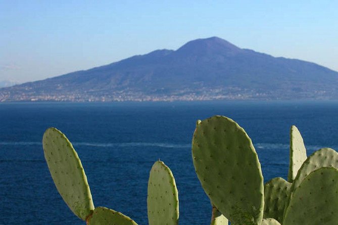 Secrets Walks of Sorrento with a Local - Cattedrale di Sorrento and the Neapolitan crib you should not miss