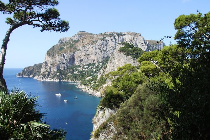 Shared Capri & Anacapri Full-Day Tour from Sorrento - Capri Town on Foot: Guided Orientation Plus Time to Wander