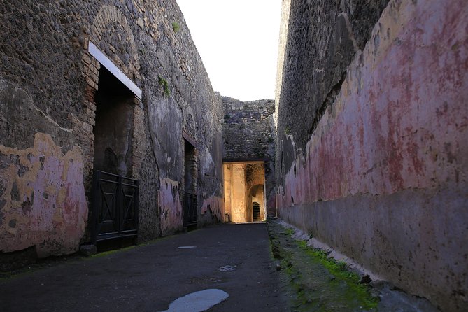 Skip the Line Guided Tour of Pompeii led by an Archaeologist - Price and Value: What You Pay For (and What You Don’t)