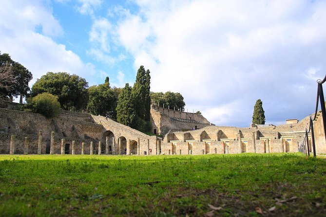 Skip-the-Line Half-Day Private Tour Ancient Pompeii Highlights with Native Guide - Skip-the-Line Entry That Changes Your Whole Pompeii Day