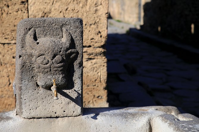 Skip-the-Line Half-Day Private Tour Ancient Pompeii Highlights with Native Guide - A Realistic 2-Hour Route: Forum, Baths, Theaters, and the Lupanare