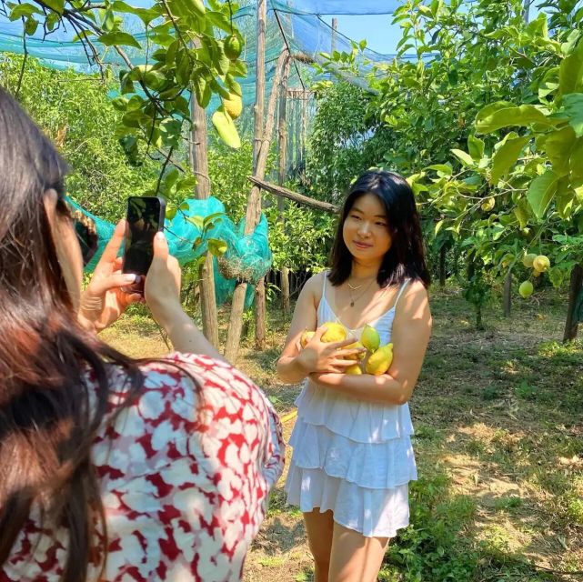 Sorrento: Authentic Lemon Experience in a Farm with Tastings - Key points I’d circle before you go