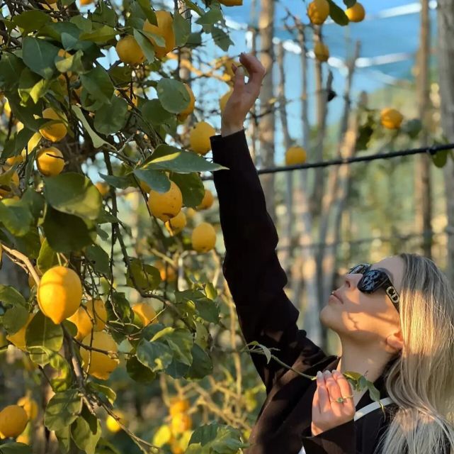 Sorrento: Authentic Lemon Experience in a Farm with Tastings - Tips for a Smooth Lemon Harvest (and a Better Tasting)