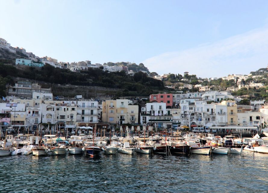 Sorrento: Capri, Anacapri and Blue Grotto Guided Tour - Sorrento to Capri: Why This Guided Day Trip Works