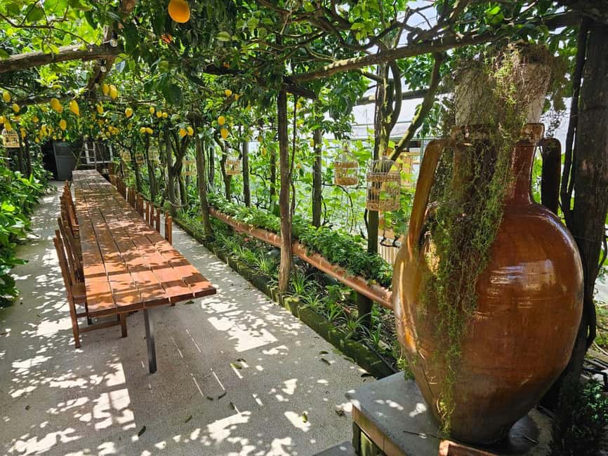 Sorrento Coast E-Bike Tour and Visit at Vinegar Cellar - Why This Vinegar Cellar Ride Works Better Than a Classic Sightseeing Loop