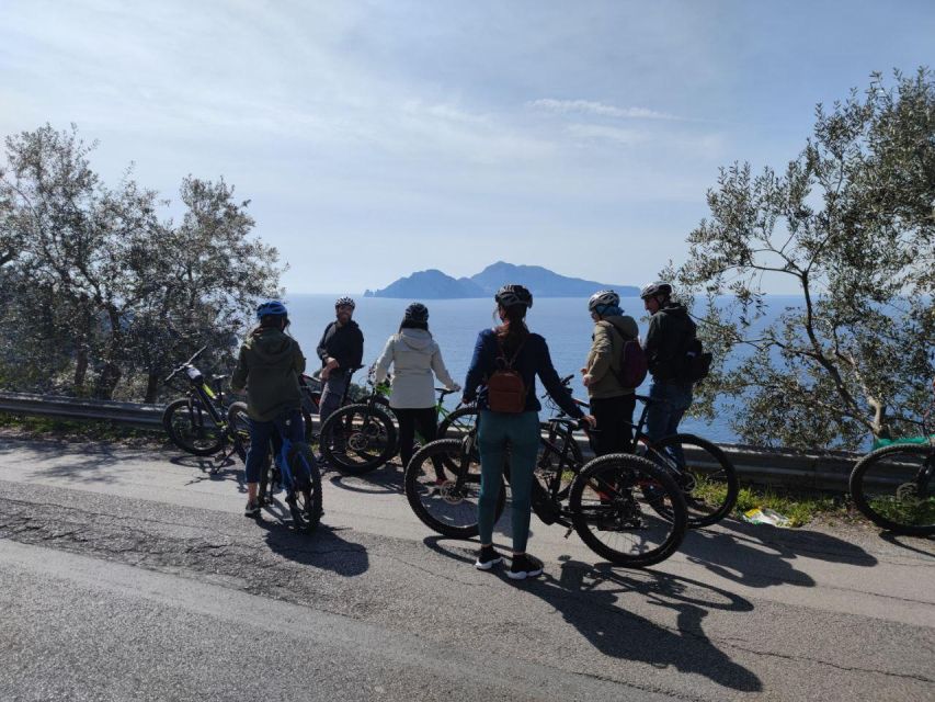 Sorrento Coast E-Bike Tour and Visit at Vinegar Cellar - The Vinegar Cellar Visit: Lemon Grove, Acetaia Traditions, and Homemade Balsamic Tasting