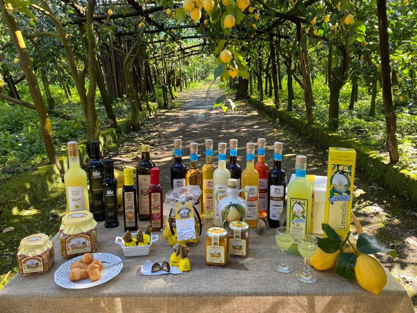 Sorrento: Coast E-Bike Tour with Limoncello Tasting - The 50-Minute Ride Through the Sorrento Peninsula Backroads