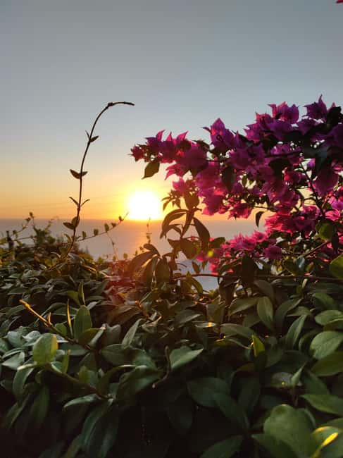 Sorrento Coast Sunset E-Bike Tour - Marciano panoramic road: where the coastline gets quiet and wide