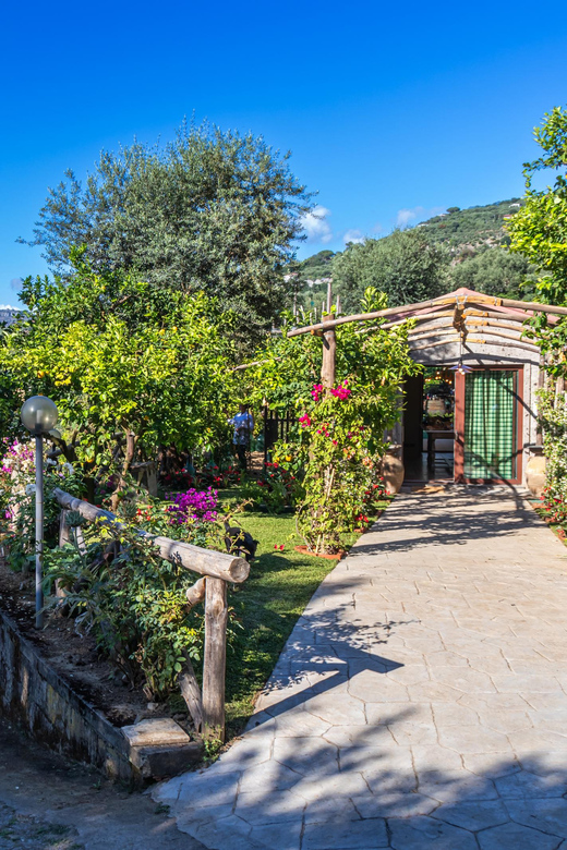 Sorrento Cooking Class: Taste the Tradition feel the Love - Price and Value: What $152.93 Buys You in Real Terms