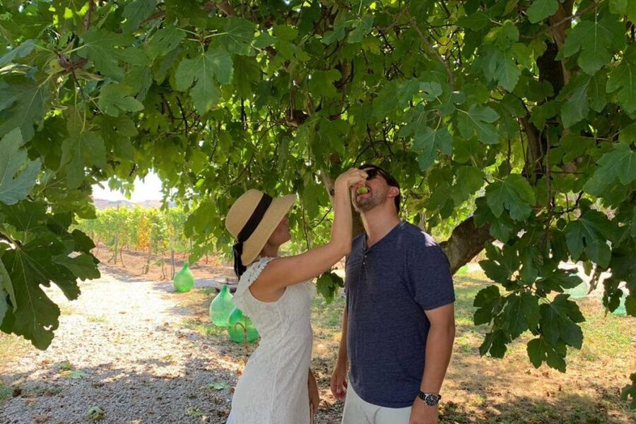 Sorrento: Family Farm Experience with Lunch - The Tastings That Connect to the Story: Olive Oil, Limoncello, Jam