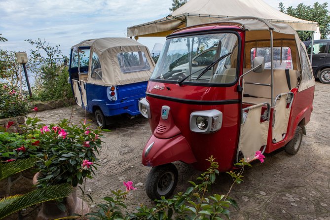 Sorrento Farm by Tuk Tuk: Cheese, Limoncello & Hands-On Pizza - Hands-On Neapolitan Pizza Making: Dough, Wood-Fired Cooking, and Coffee Afterwards