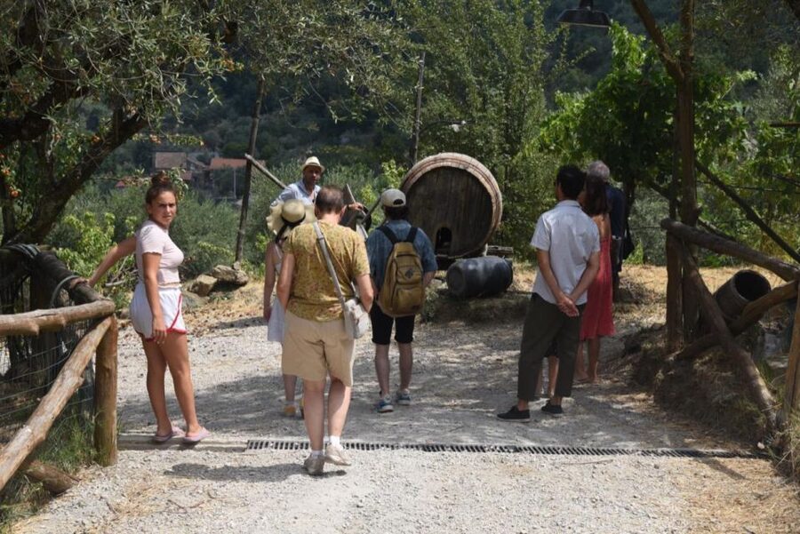 Sorrento Farm Experience: Pizza, Cheese, Wine & More - Meeting Point and Timing: Plan to Arrive Ready