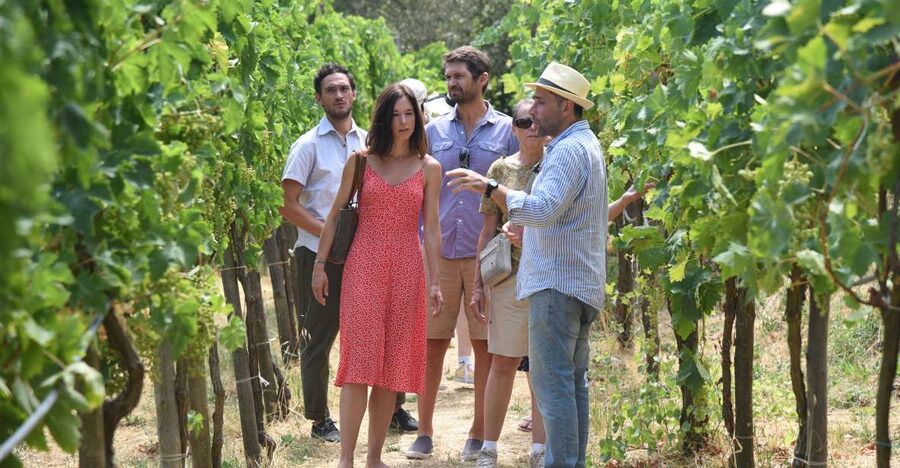 Sorrento: Farm Tour with Cheese Tasting & Pizza Making Class - Key things you will remember