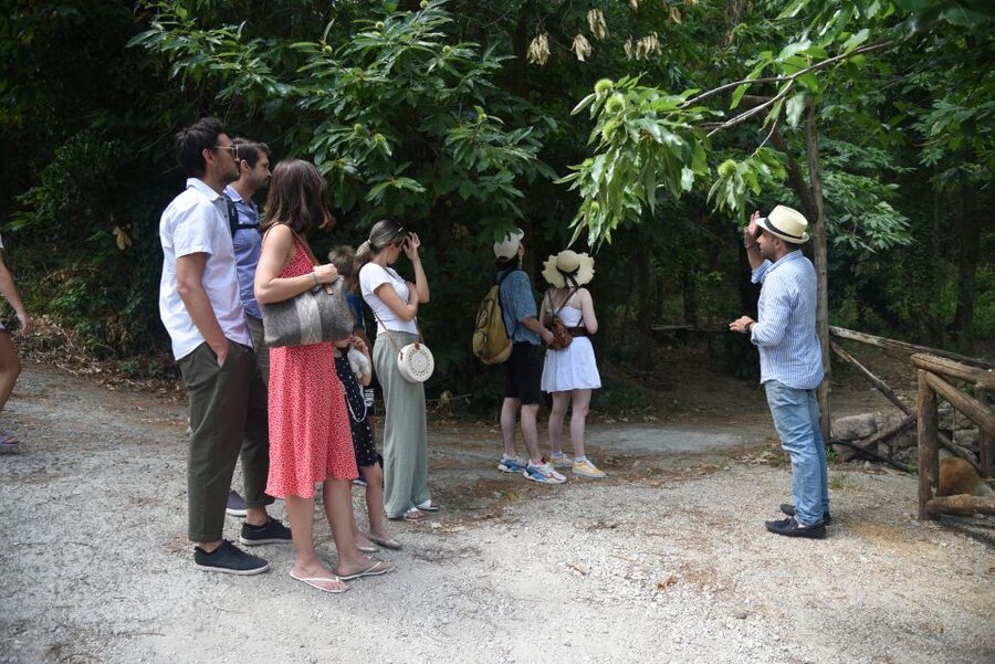 Sorrento: Farm Tour with Cheese Tasting & Pizza Making Class - Should you book Primaluce in Sorrento?