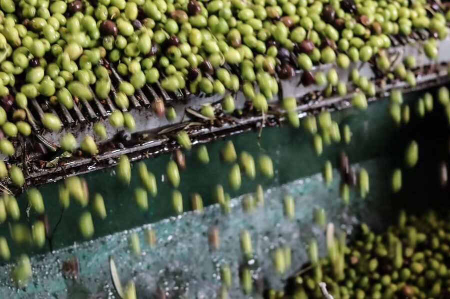 Sorrento: Guided Olive Mill Visit with Tastings - Key Things I’d Prioritize on This Olive Mill Tour