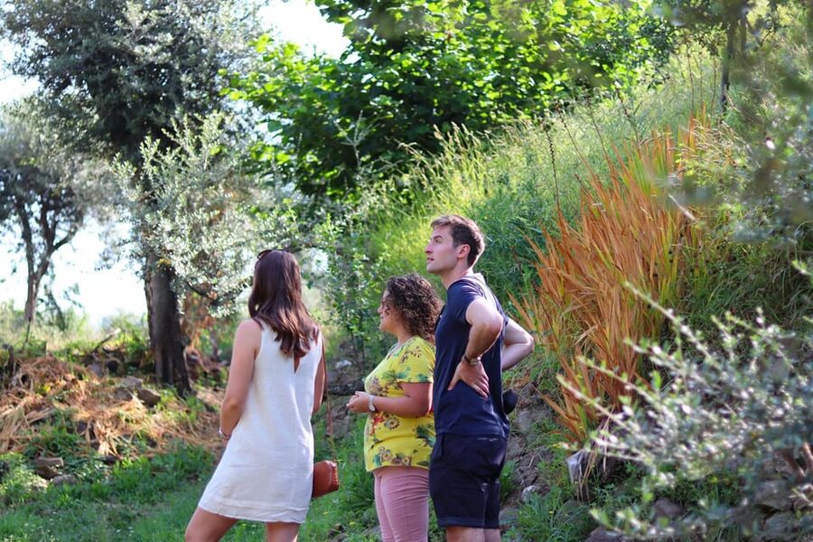 Sorrento: Guided Olive Mill Visit with Tastings - What You Taste: 15 EVOOs and Around 20 Unique Blends