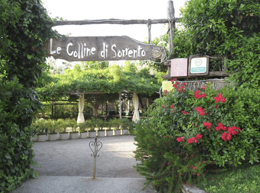 Sorrento: Lemon Garden Guided Tour with Tastings - The 30-Minute Flow: What You Do From Meeting to Finish
