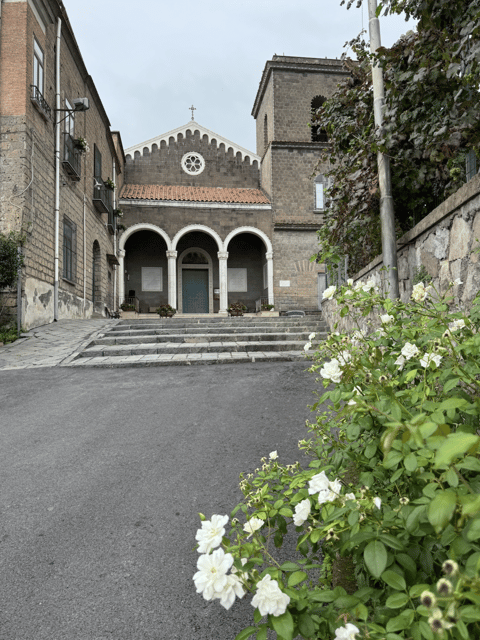 Sorrento: Lemon Garden Guided Tour with Tastings - Should You Book the Sorrento Lemon Garden Guided Tour?