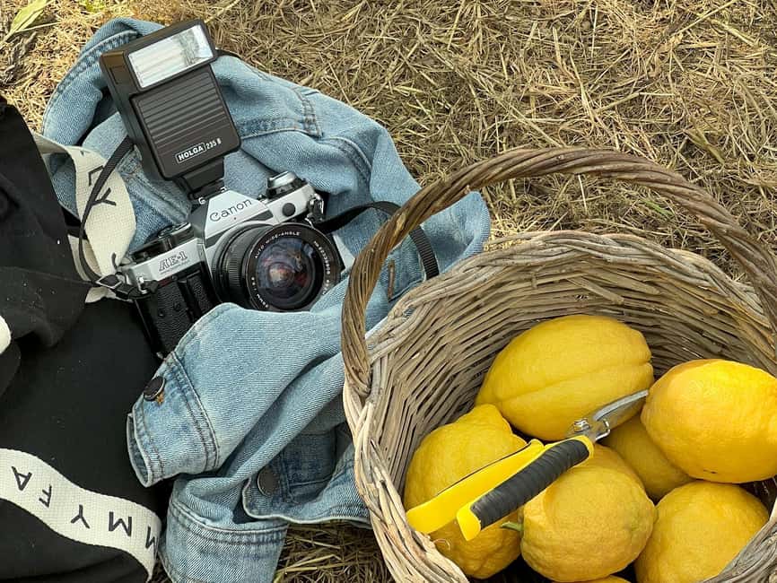 Sorrento: Lemon Picking & Tasting Tour - What your 90 minutes actually feels like