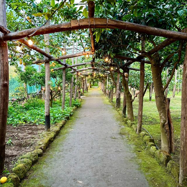 Sorrento Lemon Tour - La Limonaia meet-up in Sorrento, five minutes from the station