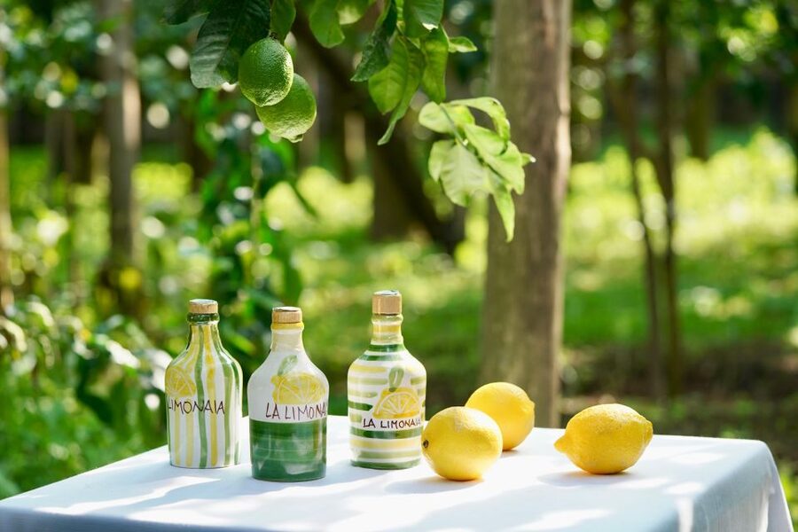 Sorrento Lemon Tour - Timing that respects your day: 45 minutes to 1 hour, no dragging