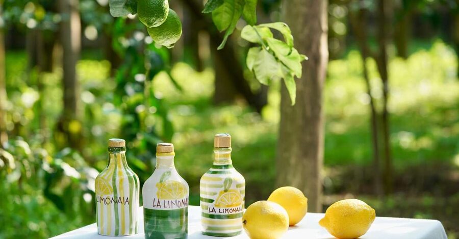 Sorrento Lemon Tour - The lemon grove walk: how the IGP oval lemon grows