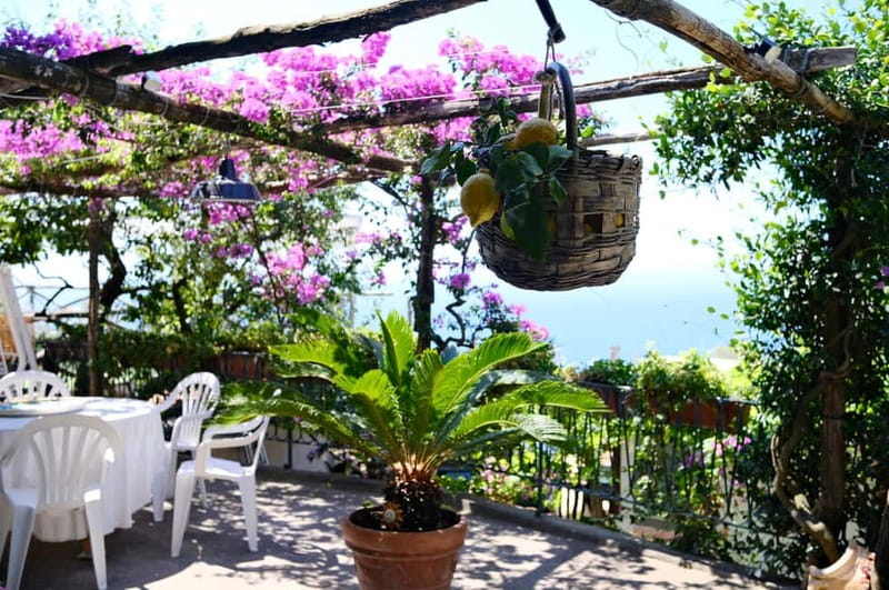 Sorrento: Marì Cooking Class in a Family Farm w/ Coast View - Meet Marì and the family farm kitchen, with recipes passed down