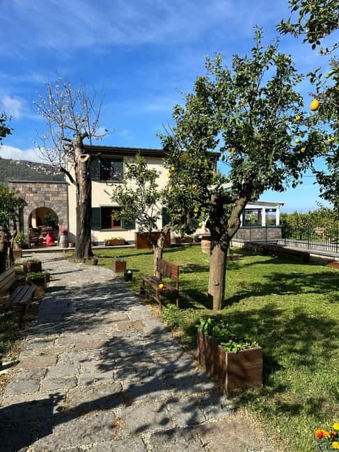 Sorrento: Mozzarella experience. Say CHEESE with us! - Limoncello demonstration and tasting: what to pay attention to