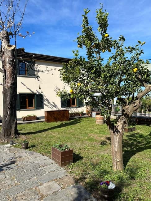 Sorrento: Mozzarella experience. Say CHEESE with us! - The food and drink part: typical organic tasting plus wine