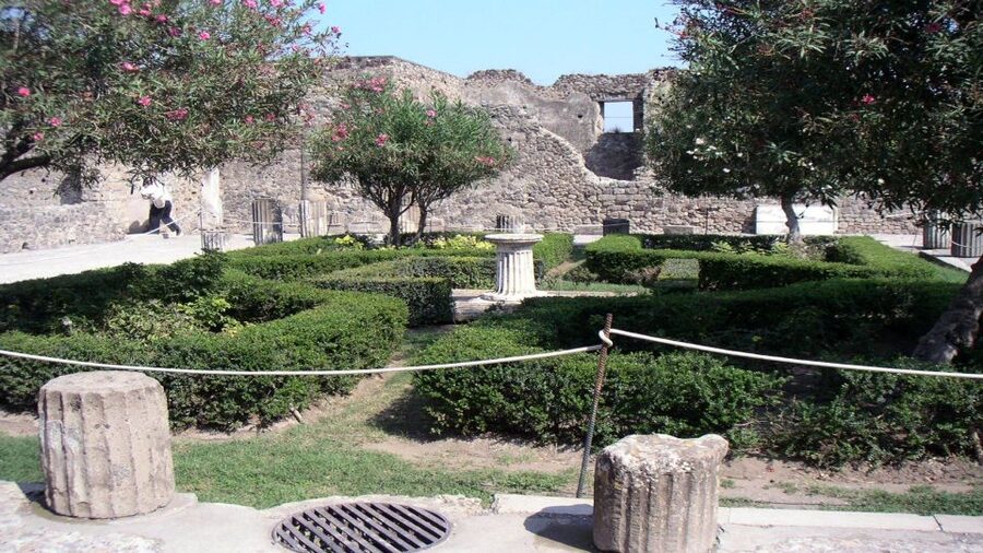 Sorrento: Pompeii & Herculaneum Tour with Skip-the-Line - Pompeii: stone streets, Forum energy, and the Vesuvius viewpoint