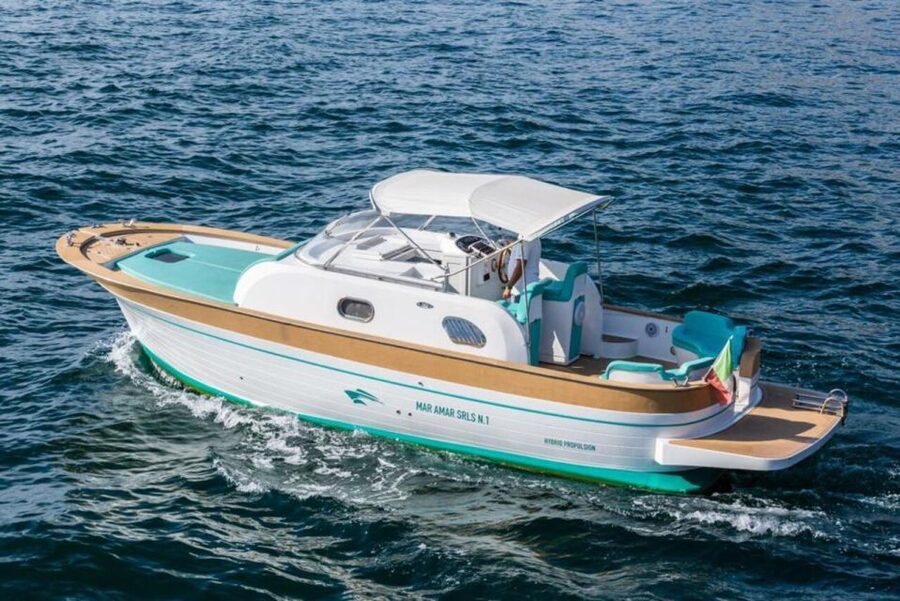 Sorrento: Private Capri Island Boat Tour with Blue Grotto - The coast cruise: from Roman villa ruins to Punta Campanella