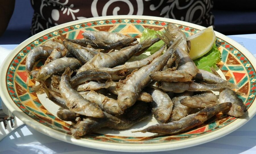 Sorrento: Sea-Fishing Tour with Lunch Onboard - Swimming and Snorkeling Break: Capri Sea-Time Without the Rush