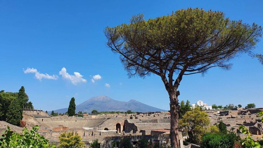 Sorrento: Skip-the-Line Pompeii Express Tour by Train - What to wear and bring for a smoother Pompeii walk