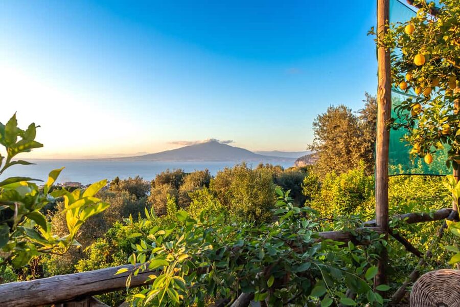 SORRENTO: Sunset Limoncello Making After-Dinner Experience - Who This Limoncello Sunset Class Suits Best
