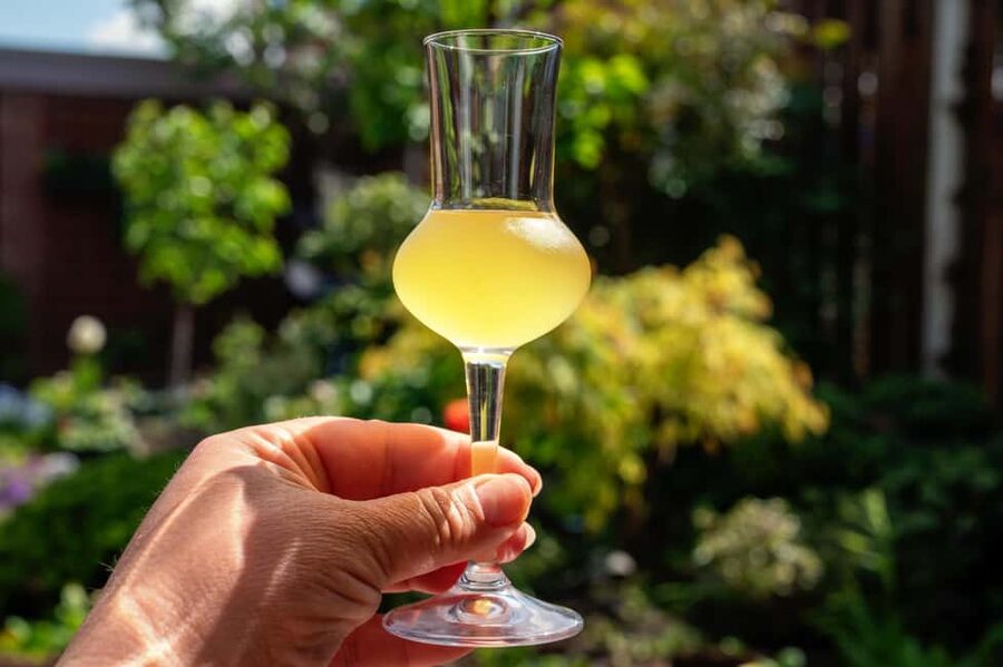 SORRENTO: Sunset Limoncello Making After-Dinner Experience - The Staff and the Feel, What Quality Looks Like Here