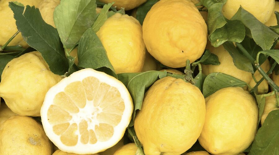 Sorrento: Walking Tour in Lemon Garden w/ Food Tasting - What happens on the lemon garden walk