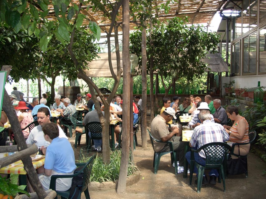Sorrento: Walking Tour in Lemon Garden w/ Food Tasting - Olive mill visit and extra-virgin oil tasting in an old grove