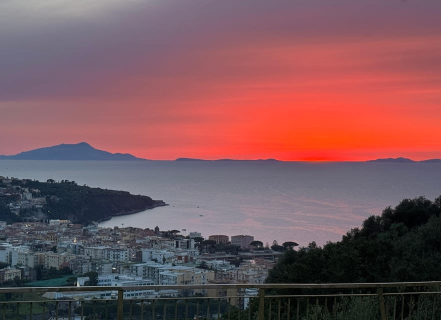 Sorrento: Walking Tour in Lemon Garden w/ Food Tasting - The lunch-style cheese plate with wine and water