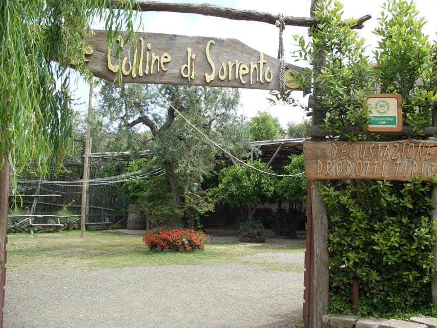 Sorrento: Walking Tour in Lemon Garden w/ Food Tasting - Limoncello, marmalades, and olive oil tastings at the end