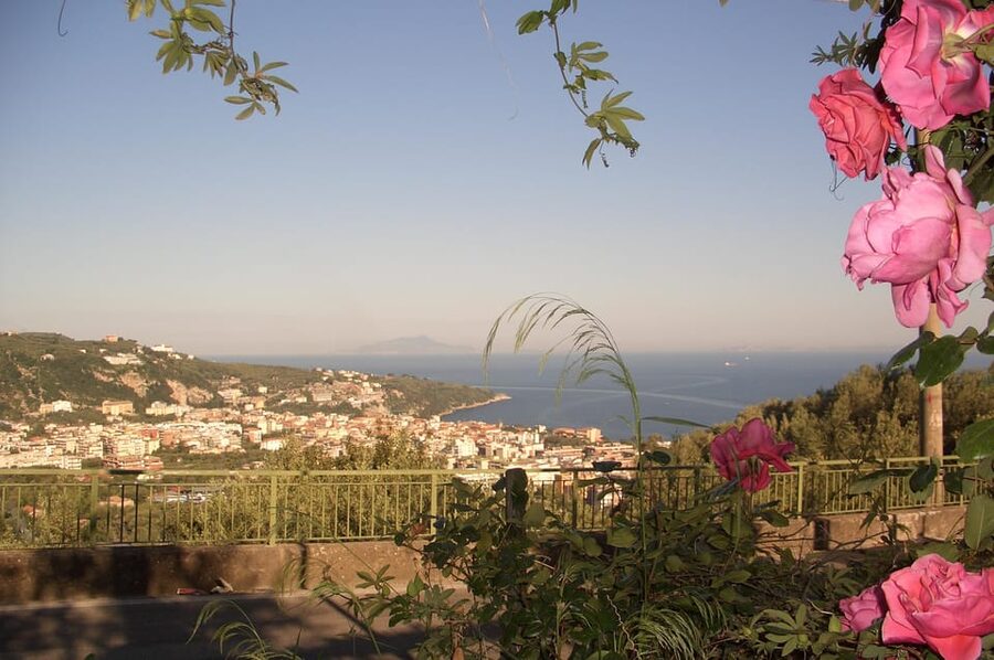 Sorrento: Walking Tour in Lemon Garden w/ Food Tasting - The farm shop: buy what you tasted without the pressure