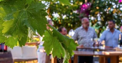 Wine Tasting Overlooking the Sea in a Lemon Grove