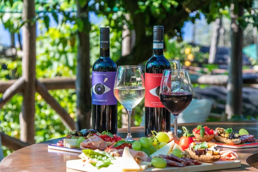 Sorrento: Wine Tasting Overlooking the Sea in a Lemon Grove - Meet Louisa the Sommelier, and Learn What to Focus On